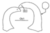 Fig. 19A (Ok1 is the name of the specimen). Cerci in a dorsal and slightly mesal view. Depicts Namaquaphasma ookiepense Klass, Picker, Damgaard, van Noort & Tojo, 2003, an Otu.