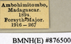 CollectionObject 1572867; af0319da-10fe-4fef-b8e5-c1137474c04a: Copyright Natural History Museum, London. Labels from non-type (adult female) in BM(NH). (CollectionObject).