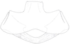 Neomenocria advena (Spinola, 1839): (Otu).