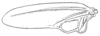 CollectionObject 1533117; e07400f4-2ed9-4ccf-99c2-e83ec9b8cb44: Fig. 19 (after type). outline of left tegmen of male (length 10 mm). (CollectionObject).