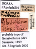 CollectionObject 1505383; 6db0f9c6-3916-4a7c-973f-a8b726dd5c26: labels (holotype). (CollectionObject).