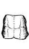 Santanderia lita Hebard, 1923: Pl. 11, Fig.10 (after type). male, pronotum, dorsal view. (Otu).