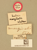 CollectionObject 1516678; ce8b1731-cce7-4142-95ee-22e0bd88638d, NHMUK015982126: labels (holotype). (CollectionObject).