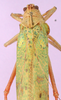 CollectionObject 1530772; bd549bd6-7e4a-4626-92c7-dba9b605f088: female, dorsal view. (CollectionObject).