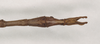 CollectionObject 1561143; NHMUK(SF IMPORT DUPLICATE) 845014, 7b0cf27c-1ad1-46d0-b325-7f53ac15ad26: copyright Natural History Museum, London. male: end of abdomen, dorsal view of Phibalosoma hypharpax (holotype). (CollectionObject).