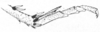 Ceuthophilus (Ceuthophilus) latens Scudder, 1862: Fig. 210. tibial spurs. (Otu).