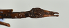 CollectionObject 1559410; 709b48d2-1f07-40d4-a5d7-111690ea043b: copyright USNM, Washington. (CollectionObject).