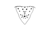 Vilerna aeneooculata (De Geer, 1773): Fig. 4. epiproct. (Otu).
