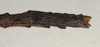 CollectionObject 1560925; NMW 891, 27c2b273-e0df-4559-859a-cac65863c94f: copyright NMW, Vienna. female: end of abdomen, lateral view (holotype). (CollectionObject).