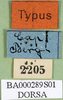 CollectionObject 1501086; 43a33986-35ad-44e3-9ada-8f300f9fa51d, DORSA BA000289S01: labels (holotype). (CollectionObject).