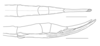 CollectionObject 1573682; d5b17133-349c-4e1e-911a-5f78abb95a36: copyright George Ho. female: end of abdomen, dorsal & lateral views (holotype). (CollectionObject).