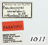 CollectionObject 1565633; MLP1011', ae594e7e-e45e-417b-b8c5-3c6776975681: labels (paratype). (CollectionObject).