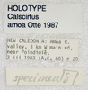 CollectionObject 1523683; 1f42e53c-d464-42a9-b114-02e1672700f1: labels (holotype). (CollectionObject).