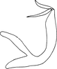 Aedeagus, lateral view on Edwardsiana quettensis (Ahmed, 1971): Aedeagus, lateral view (holotype). (Observation).