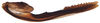 Ovipositor: Drabescus sp., 2nd valvula (INHS). (Observation).