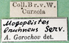 CollectionObject 1502123; 05f07924-7c87-425e-8d70-7daf0e1063c0: labels. (CollectionObject).
