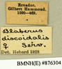 CollectionObject 1572836; bf19120e-a518-41c0-96d7-2597ae76e34b: Copyright Natural History Museum, London. Labels from non-type (adult female) in BM(NH). (CollectionObject).