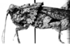 CollectionObject 1540732; a8c1e3fc-35c8-4f20-9f06-102ede56666f, MNHN-EO-CAELIF2435: Image Carbonell, C.S. male head and pronotum, lateral view (holotype of Spathalium bonfilsi). (CollectionObject).