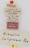 labels. Depicts CollectionObject 1564295; NMW 22.636, a4d2283d-6f11-4345-8969-36a8947faf18, a CollectionObject.