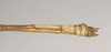 CollectionObject 1559430; 0ff15772-69cf-4ade-93a0-39d16826f620: copyright Natural History Museum, London. male: end of abdomen, ventralal view of synonym Lonchodes hosei herberti (paratype). (CollectionObject).;CollectionObject 1559431; 46b1f043-e927-45f1-9ae1-a4e9b7601344: copyright Natural History Museum, London. male: end of abdomen, ventralal view of synonym Lonchodes hosei herberti (paratype). (CollectionObject).