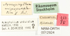 CollectionObject 1574109; NHRS 12924, 15de692f-9297-4e38-b69a-37aa0fb0e774: labels. (CollectionObject).