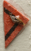 CollectionObject 1535140; d6b64985-9ad4-4c2a-8085-eee6970f5694: male part (syntype). (CollectionObject).