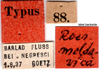 CollectionObject 1505026; e357b106-8961-488f-a5ef-9597c445b977: labels (holotype). (CollectionObject).