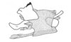 Oteroa paraibana Amédégnato & Descamps, 1979: Fig. 155. phallic complex, lateral view. (Otu).