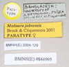 CollectionObject 1559724; 92e1701f-355f-4648-852a-a1fc42d62f89: copyright Natural History Museum, London. female, data labels (paratype). (CollectionObject).;CollectionObject 1559725; d87b731b-4dd9-4803-847f-5f1d15f04040: copyright Natural History Museum, London. female, data labels (paratype). (CollectionObject).