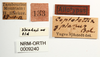 CollectionObject 1571064; 10f36618-955a-4893-9859-0946d4f66334: labels. (CollectionObject).