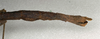 CollectionObject 1559495; NMW 554', c1e8b8ea-182c-480c-9ff5-de0874a08119: copyright NMW, Vienna. female: end of abdomen of Prisomera modestum (paralectotype). (CollectionObject).