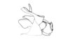 Enodisomacris curtipennis Cigliano, 1989: Fig. 219. phallic complex, lateral view. (Otu).