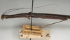 CollectionObject 1562067; NMW 1071, febd3d21-6c5e-4e4f-86b9-cf595a4a2555: copyright NMW, Vienna. male: head and thorax, lateral view (holotype). (CollectionObject).