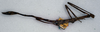 CollectionObject 1558604; 926895c9-7be4-4c68-b2ac-c48c74edc28f: copyright NMW, Vienna. female, lateral view (syntype). (CollectionObject).;CollectionObject 1558605; 8e8ce501-1cd2-4740-90e6-61494de6d88f: copyright NMW, Vienna. female, lateral view (syntype). (CollectionObject).