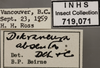 Other: Labels. Labels for the specimen used for the dorsal, lateral and face images. (Observation).