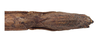 CollectionObject 1597507; 929d8ad4-dff0-4155-a1ff-a9950f8a1205, QIMR T250904: copyright QM. female: end of abdomen, ventral view (holotype). (CollectionObject).