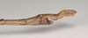 CollectionObject 1561143; NHMUK(SF IMPORT DUPLICATE) 845014, 7b0cf27c-1ad1-46d0-b325-7f53ac15ad26: copyright Natural History Museum, London. male: end of abdomen, lateral view of Phibalosoma hypharpax (holotype). (CollectionObject).