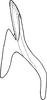 Aedeagus, lateral view: Aedeagus (holotype), lateral view. (Observation).