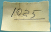 label (Tympanotriba vittata). Depicts CollectionObject 1542938; fdbbfa02-e85b-4541-ab18-adf77bf2913a, a CollectionObject.