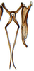 Connective: Scaphytopius acutus, connective, stylus, and processes, ventrally (INHS). (Observation).