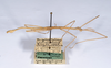CollectionObject 1579409; 317ea06c-7408-4d2e-93ab-623b91cb80c8: copyright ANSP. male, lateral view (paratype). (CollectionObject).