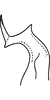 Stylus on Erythridula frisoni (Ross & DeLong, 1953): Stylus. (Observation).