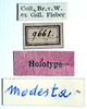 CollectionObject 1532102; 021bab97-6540-4ecf-bfdf-0493944579a1: labels (syntype). (CollectionObject).