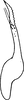 Stylus: Stylus. (Observation).