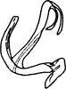 Aedeagus, lateral view on Anufrievia triangulata Yang & Zhang, 2018: (Observation).