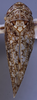 Habitus, dorsal view: (Observation).