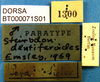 CollectionObject 1502194; fdb8097e-6c0a-48a5-8e70-a79d7a695935: labels (paratype). (CollectionObject).