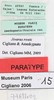 CollectionObject 1514635; a325caf1-fb81-4d0f-a695-34c1ed2a92d8: labels (paratype). (CollectionObject).