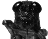 CollectionObject 1532746; 7f66f7d1-97a4-443c-8133-b9948ae89dee: Image Carbonell, C.S. male frons (holotype). (CollectionObject).