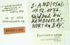 CollectionObject 1585783; afa140bf-2676-487b-8b69-9504a5380d90: male, labels (syntype). (CollectionObject).